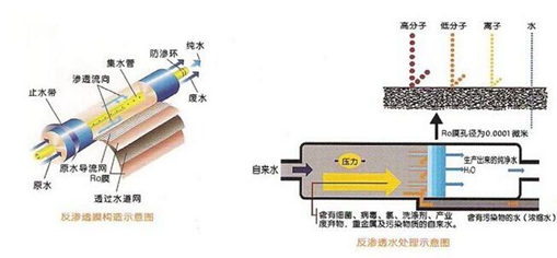 一体化工业樱桃视频在线网址