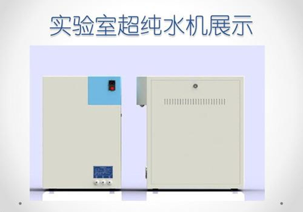 樱桃视频成人网站